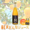 【ふるさと納税】＜紅まどんなジュース 720ml×2本セット「マルワフルーツ園芸」＞果汁100％ストレートジュース デザート アソート みかん 果物 マドンナ フルーツ くだもの 柑橘類 濃厚 飲料 ドリンク 飲み物 特産品 愛媛県 西予市【常温】『1か月以内に順次出荷予定』