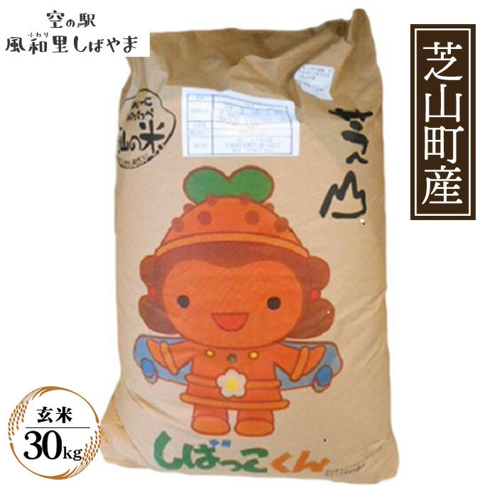 【ふるさと納税】No.075 令和7年産　芝山産コシヒカリ30kg（玄米） ／ コシヒカリ 玄米 げん米 げんまい 米 こめ コメ お米 こしひかり ご飯 ごはん 弁当 おにぎり 美味しい 評判 自慢の逸品 送料無料 千葉県