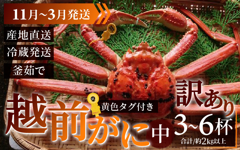 
            【先行予約】【訳あり】 越前がに 合計2kg以上（3～6杯）【11月～3月発送】
          