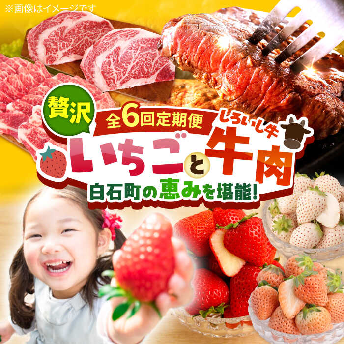 【ふるさと納税】【R8年2月以降発送】【全6回定期便】産地直送！白石町産 いちごと牛肉の贅沢定期便 / イチゴ 苺 果物 フルーツ お肉 肉 ステーキ 焼肉 すき焼き しゃぶしゃぶ 佐賀県 白石町 [IZZ009]