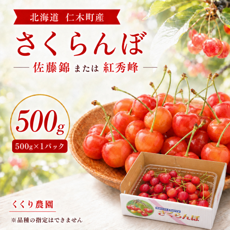 2027年発送 北海道 仁木町産 さくらんぼ 500g 佐藤錦または紅秀峰 果樹 サクランボ チェリー フルーツ 果物 果物類 ギフト 仁木町 仁木 [くくり農園]