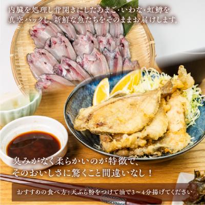 ふるさと納税 下呂市 川魚 食べ比べセット(5尾入り　各1袋)計15尾(あまごひらき・いわなひらき【108-4】 |  | 01
