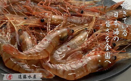 7-024-005　ボタンエビ 1kg（40尾前後）
