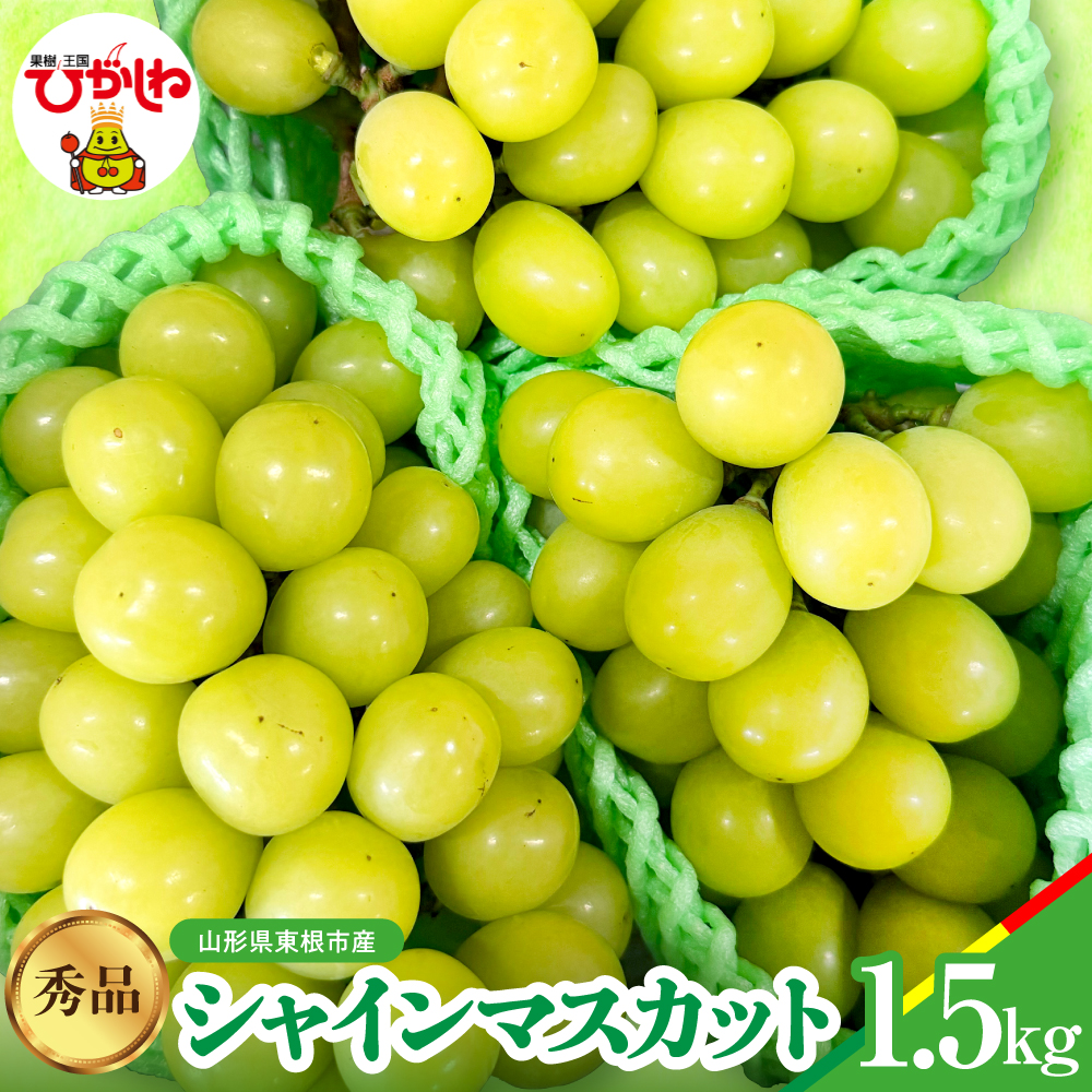 【2026年産】シャインマスカット 秀品 約1.5kg 山形県 東根市 松栗提供 hi062-065