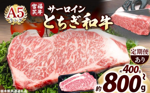 
            宮福笑牛(とちぎ和牛) A5 サーロインステーキ 200g×2枚 3枚 4枚 | 定期便 3回 6回 12回｜数量限定 黒毛 和牛 牛肉 国産牛 国産 ブランド牛 お肉 サーロイン サシ 霜降り 甘い ステーキ すき焼き しゃぶしゃぶ 焼肉 切落し 上品 アレンジ 美味しい 料理 栃木県 矢板市
          