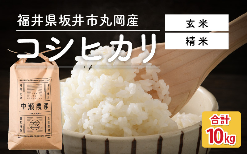 
            【先行予約】【令和7年産・新米】 福井県坂井市丸岡町産 コシヒカリ 10kg（精米方法選べます） 【2025年10月より順次発送予定】【お米 こしひかり 玄米 白米 10キロ ブランド米 ふるさと納税米 産地直送】 [C-11301]
          