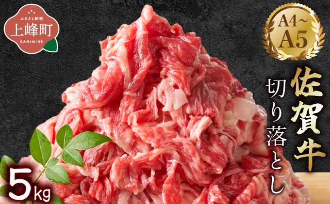 艶さし！【A4~A5】佐賀牛切り落とし 5kg (500g×10P)