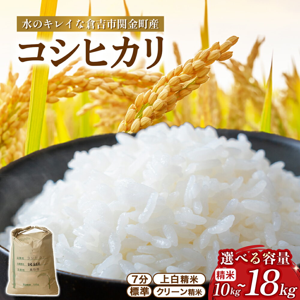 【ふるさと納税】コシヒカリ 選べる精米歩合 10kg～18kg 令和7年産 新米 お米 米 こめ コメ こしひかり コシヒカリ ご飯 ごはん 鳥取県 倉吉市産