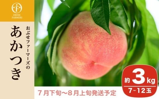 
            あかつき 約3kg 7～12玉 ［おぶせファーマーズ］桃 もも モモ フルーツ 果物 クール便 冷蔵便 長野県産 信州産  令和7年産【2025年7月下旬〜8月上旬発送】 ［F-16］
          