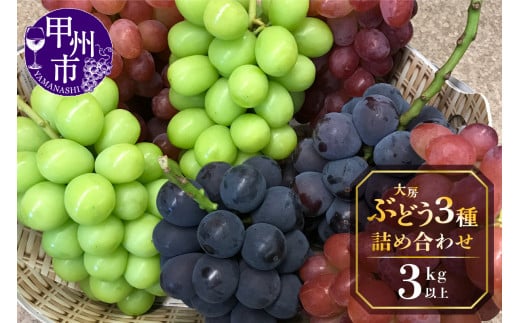 甲州屋厳選 大房ぶどう3種詰め合わせ 3kg以上【2026年発送】D-117 【シャインマスカット ぶどう 葡萄 ブドウ 令和8年発送 期間限定 山梨県産 甲州市 フルーツ 果物】