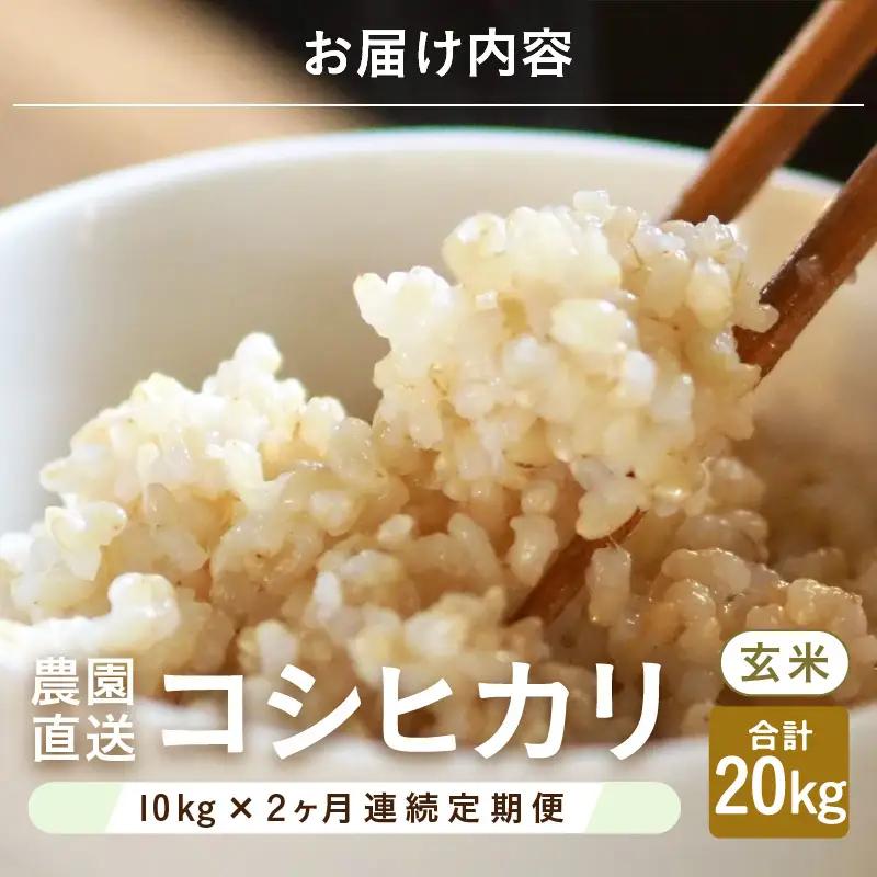 【先行予約】【令和8年産・新米】【農家直送定期便 2ヶ月コース】本原農園のまごころコメたコシヒカリ 10kg × 2回 計20kg（玄米）【2026年10月上旬以降順次発送】 [D-8916_02]