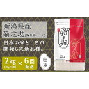 【ふるさと納税】【定期便全6回】新潟県産新之助2kg | お米 こめ 白米 食品 人気 おすすめ 送料無料