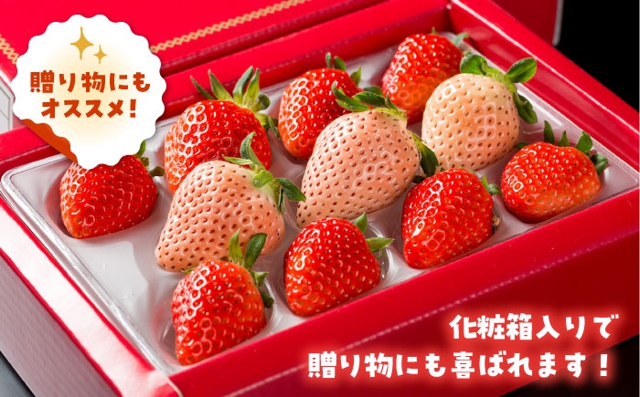 いちご 苺 イチゴ さがほのか あわゆき 淡雪  フルーツ 果物 ギフト プレゼント