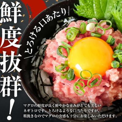 ふるさと納税 田野町 【四国一小さなまち】≪カネアリ水産≫ まぐろのネギトロ　800g(80g×10パック) |  | 01