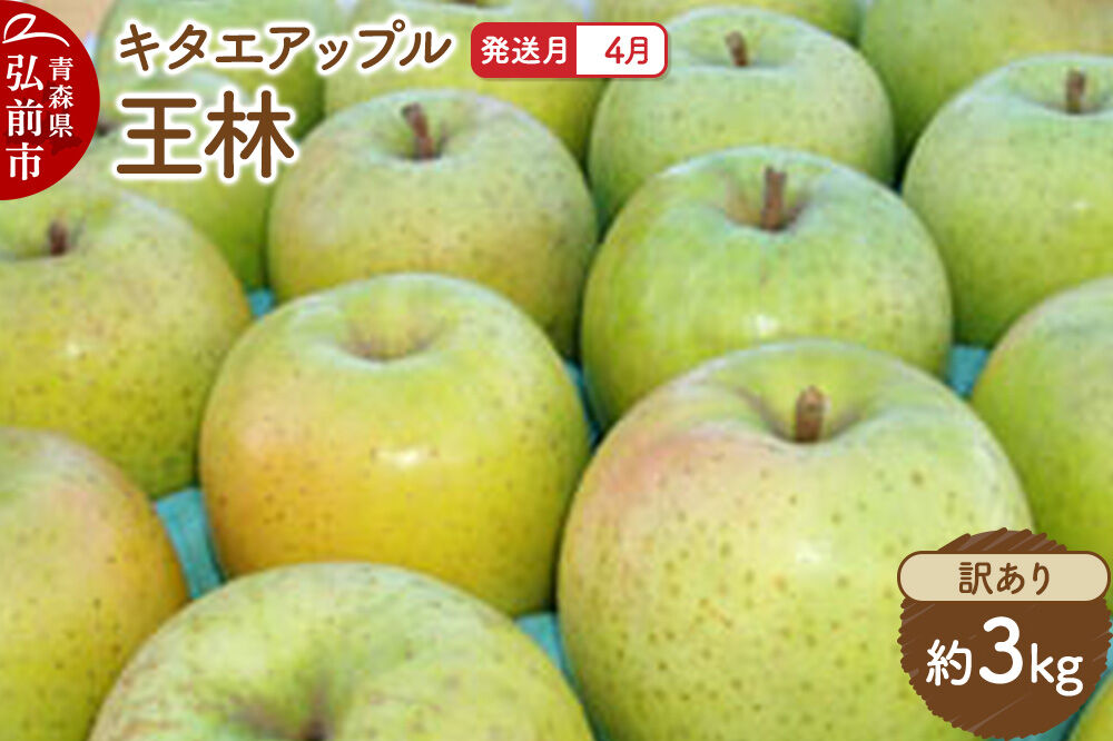 【26年4月クール便発送】りんご 王林【訳あり】約3kg【CA貯蔵】キタエアップル [不揃い 規格外 アップル 産地直送 青森県 弘前市 詰め合わせ セット 果物 フルーツ 林檎 リンゴ くだもの]