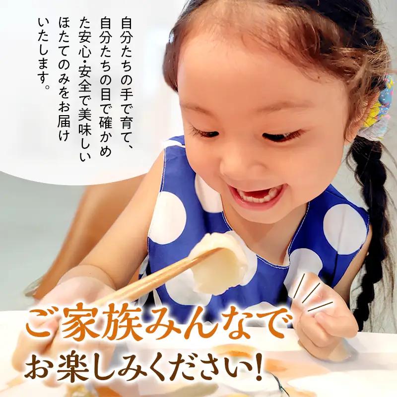 3ヵ月連続お届け 定期便 訳あり 北海道 オホーツク産 冷凍 ほたて 貝柱 3kg（1kg×3箱）ホタテ ランキング 海鮮 刺身 冷凍ふるさと納税 帆立 ふるさと 規格外 ホタテ貝柱