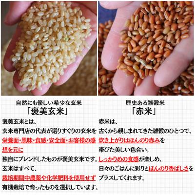 ふるさと納税 豊能町 【白米に混ぜて簡単!】国産 有機赤米ブレンド750g(250g×3袋入り) |  | 02