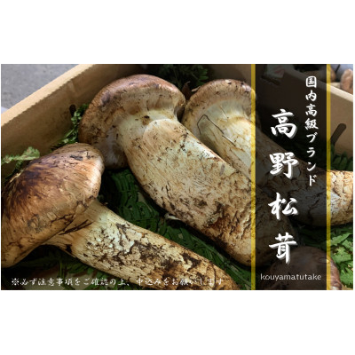 
                  ＜和歌山産＞～香りそのまま真空パック～高級・希少 高野松茸　200g(訳有品詰合せ)【1340753】
                