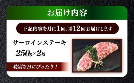 【全12回定期便】国産 博多和牛 A5ランク サーロイン ステーキ 250g×2枚 雌 ステーキ 和牛 肉 BBQ [ABEN016]