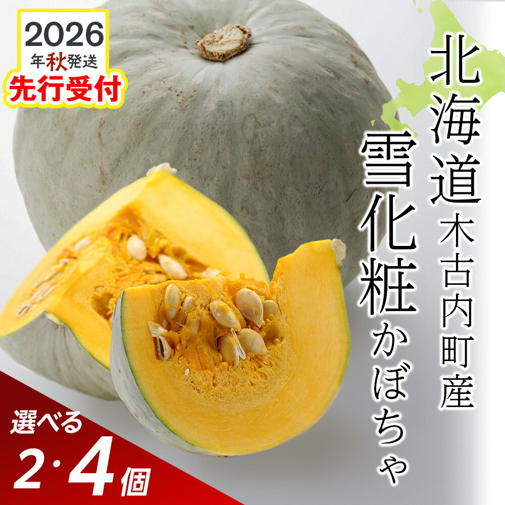 【ふるさと納税】【秋山農園】北海道産 かぼちゃ 雪化粧 選べる2個・4個入り南瓜 ほくほく 野菜 旬 秋野菜 北海道ふるさと納税 木古内町 ふるさと納税 北海道