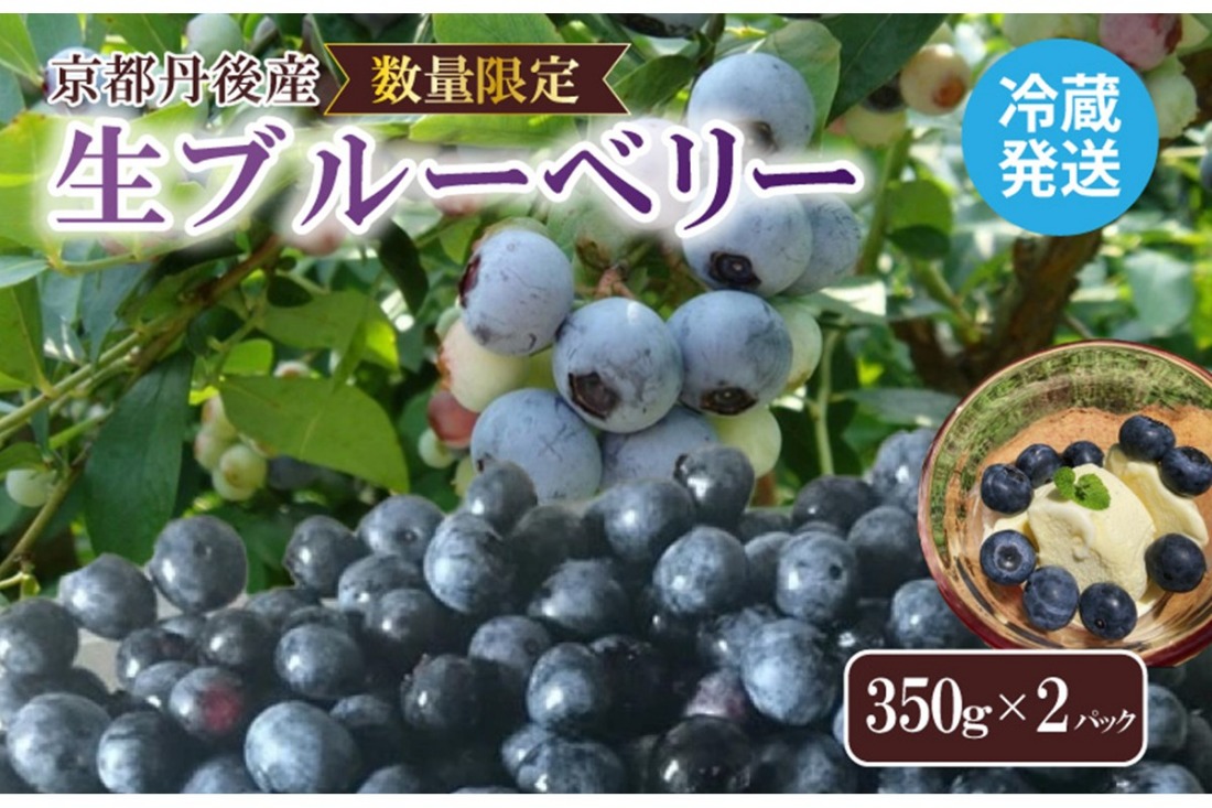 【先行予約／数量限定80】国産 京都丹後ブルーベリー 350g×2パック（2026年7月上旬～発送）　MB00002