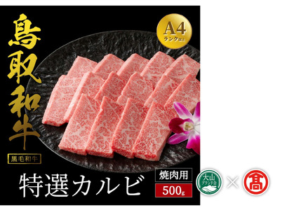 だんだんキッチン 鳥取和牛  特選カルビ 500g 冷凍（大山ブランド会）