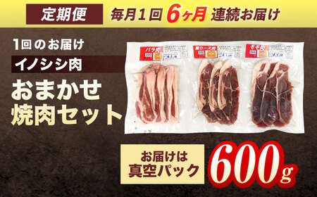 【6回定期便】天然イノシシ肉 おまかせ焼肉セット 600g (ロース・モモ・バラ) / ジビエ 猪肉 いのしし肉 ジビエ肉 肉じゃが用肉 イノシシ いのしし焼肉 長崎ジビエ 猪 ぼたん鍋 鍋肉 猪鍋 