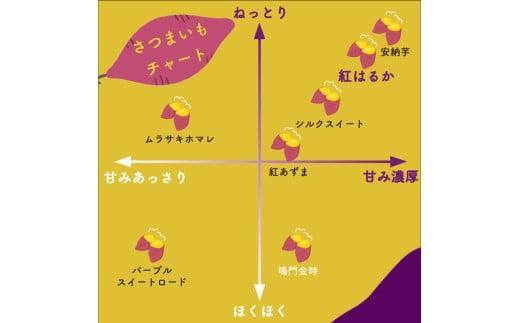 【訳あり】 選抜 紅はるか 冷凍焼き芋 3kg さつまいも サツマイモ さつま芋 焼き芋 やきいも 焼芋 芋 冷凍 冷凍焼き芋 冷凍焼芋 冷凍食品 スイーツ 訳あり 訳アリ 高知県 須崎市 TJ026