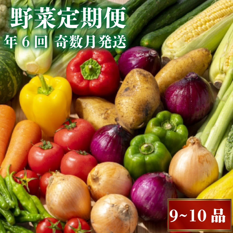 【ふるさと納税】 新鮮お野菜定期便 年 6回 奇数月発送 旬 野菜 詰め合わせ セット 野菜セット 9 ～ 10品 限定 セット ふるさと納税野菜 ふるさと納税定期便 ふるさと納税 送料無料 人気 ランキング 食品 おすすめ 6ヶ月 春夏秋冬 旬 NK10000