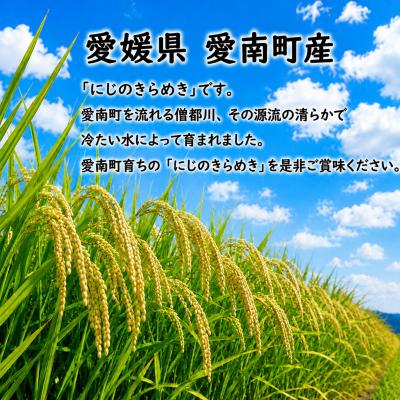 ふるさと納税 愛南町 【先行予約】新米 にじのきらめき 10kg えひめ南農業協同組合 |  | 01