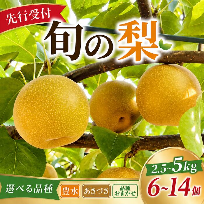 【ふるさと納税】 【 2026年先行予約 】 梨 選べる品種 豊水 / あきづき / おまかせ 選べる内容量 約 5kg / 2.5kg なし 品種おまかせ 旬の品種 甘い 旬 果物 果肉 幸水 秋月 ほうすい こうすい 糖度 くだもの 果物 フルーツ 旬の果物 旬のフルーツ 産地 千葉県 旭市 まる吉園