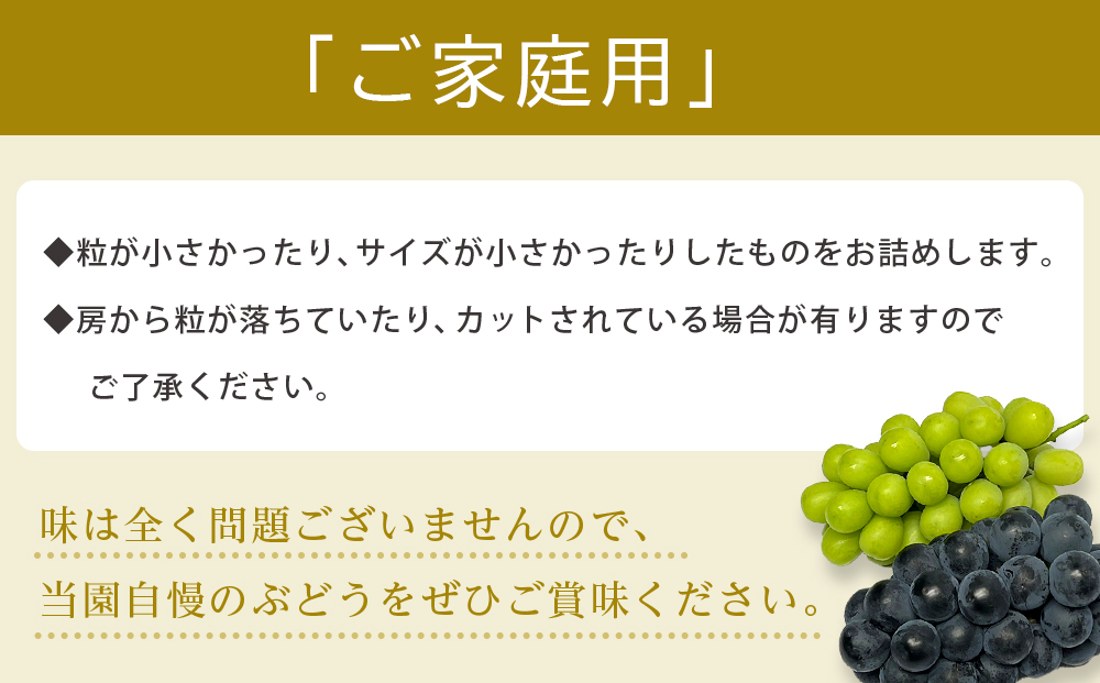 【先行予約】【ご家庭用・数量限定】 シャインマスカット 約2.4kg 〔2025年8月中旬より順次発送〕	