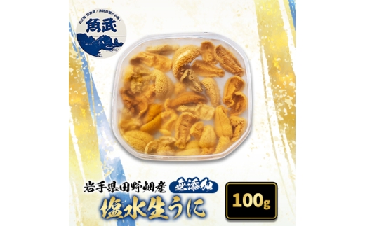 先行予約＜令和8年7月～順次発送＞岩手県田野畑産　無添加塩水生うに100g【1513025】