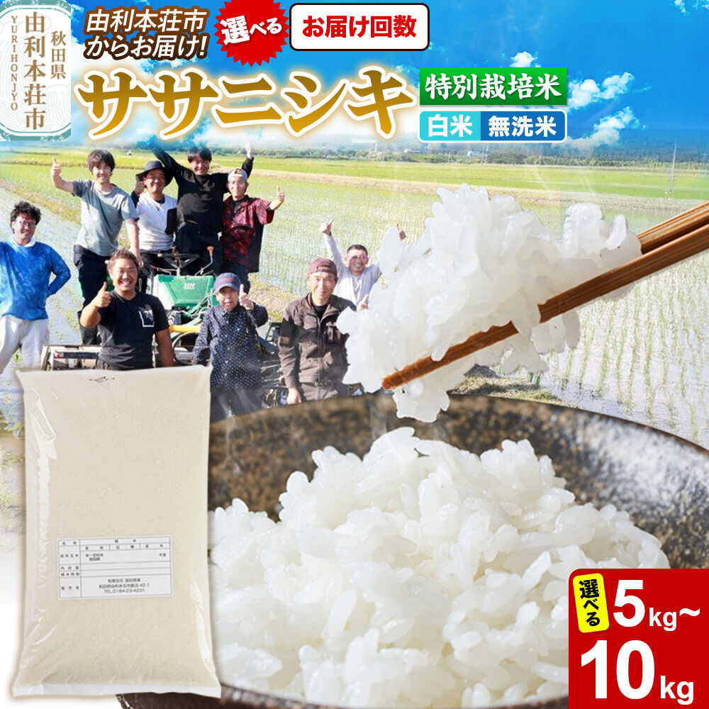 【ふるさと納税】令和7年産【白米／無洗米】特別栽培米 ササニシキ 秋田県産【選べる容量 5kg／10kg＋お届け回数 1回〜】 [米 お米 白米 精米 無洗米 ササニシキ 特別栽培米 ブランド米 食卓 秋田県産 秋田県 由利本荘市]