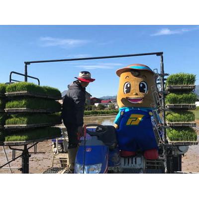 ふるさと納税 厚沢部町 【令和7年産】北海道厚沢部産ふっくりんこ25kg(5kg×5袋) |  | 01