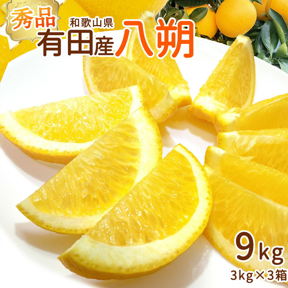 
DI6050_秀品 和歌山県有田産 八朔 3kg × 3箱 計9kg
