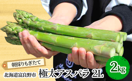 【2027年春発送】極太 グリーンアスパラ 2Lサイズ 2kg 北海道 富良野産 野菜 アスパラガス