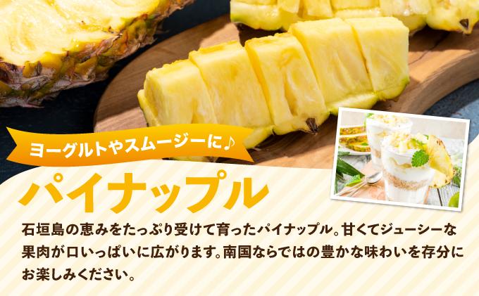 【2026年5月から発送 2回定期便】石垣島産パイナップル約2kg・マンゴー約1kgセット KP-19 パイナップル2kg・マンゴー1kg