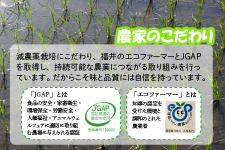【令和7年産・新米】 おおかわさんちのコシヒカリ 10kg [C-10802]