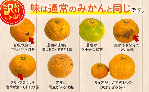 《2026年～2027年発送先行予約》【数量・期間限定】《訳あり》温州みかん5kg 果物 温州みかん みかん ミカン 糖度11度以上 ネイバーフッド 柑橘 自宅用 訳あり