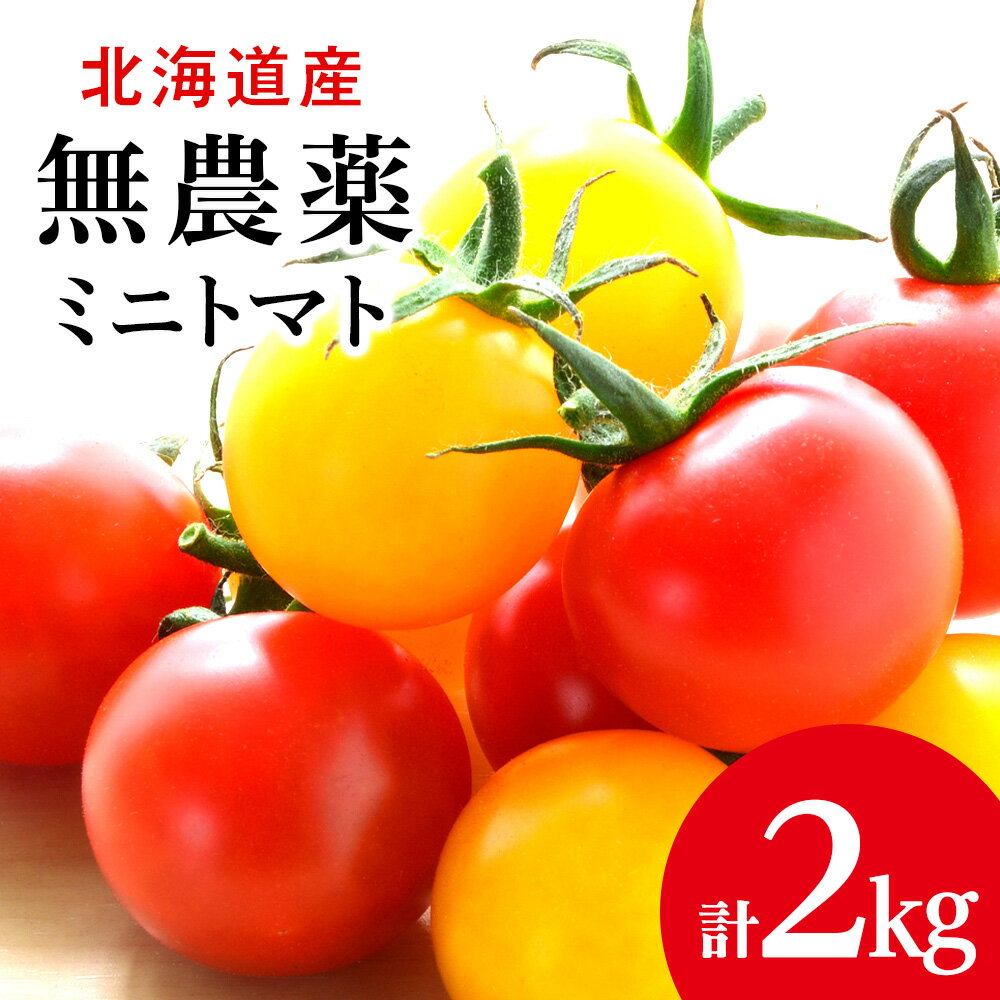 【ふるさと納税】【2025年夏発送】無農薬ミニトマト2種 各1kg（イエローミニ・プレミアムルビー）北海道ふるさと納税 積丹町 ふるさと納税 北海道 野菜 ミニトマト 無農薬 トマト