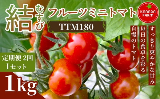 《先行予約》【定期便2ヶ月】結（むすび）フルーツミニトマト（TTM180）1kg 1セット 甘い野菜 デザート感覚 おやつ スイーツ感覚 サラダ用 そのまま食べる 旬 家庭用 贈り物 日々の食卓 お取り寄せ 産地直送 愛知県 豊橋市