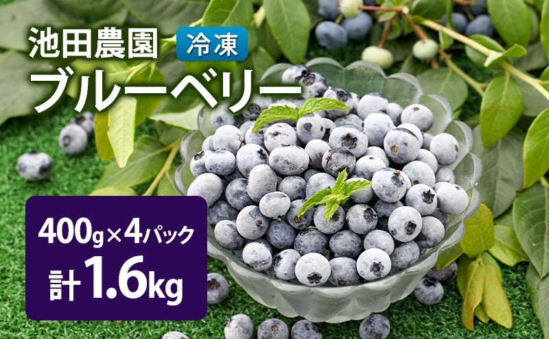 
            北海道 芦別市産 冷凍 ブルーベリー 計1.6kg (400g×4パック) 池田農園 [№5342-0246]
          