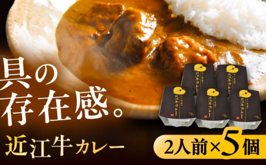 -あふひ 贅の極み- 近江牛カレー レトルト 2人前×5個セット レトルト カレー 牛肉 和牛 ブランド牛 ご当地 名物 高級 ギフト 贈答用 人気 おすすめ 美味しい 簡単 調理 長期保存 カレー カレーライス レトルトカレー ビーフカレー 保存食 恵那市 / テンポイント [AUEU018]