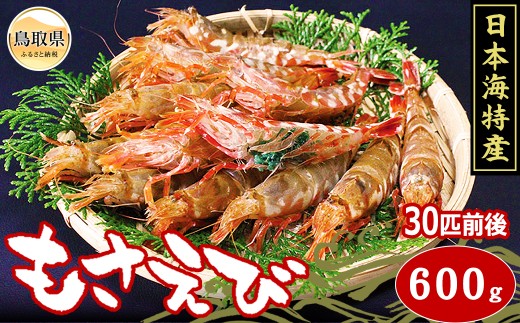 モサエビ　600g/30尾前後_T2600088 ふるさと納税 鳥取 海鮮 海の幸 魚介 おかず おつまみ