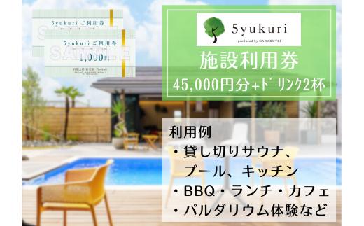 5yukuri 利用券 45000円分 + ドリンク2杯サービス 新潟 サウナ 本場 フィンランド バレルサウナ セルフロウリュ プール カフェ ランチ パルダリウム 貸し切り クーポン 3G11150