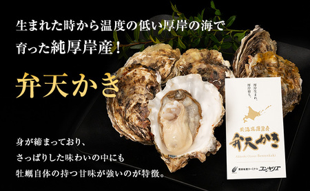生食用 牡蠣 3種 食べ比べ セット マルえもん カキえもん 弁天かき 牡蠣