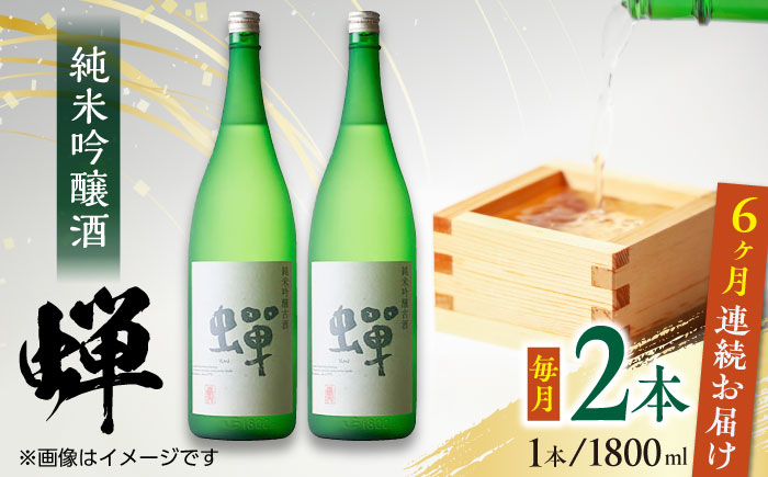 
【全6回定期便】純米吟醸酒 蝉 1800ml×2 日本酒 熊本県産 山都町産 通潤橋【通潤酒造株式会社】[YAN035] 147000 147,000 147000円 147,000円
