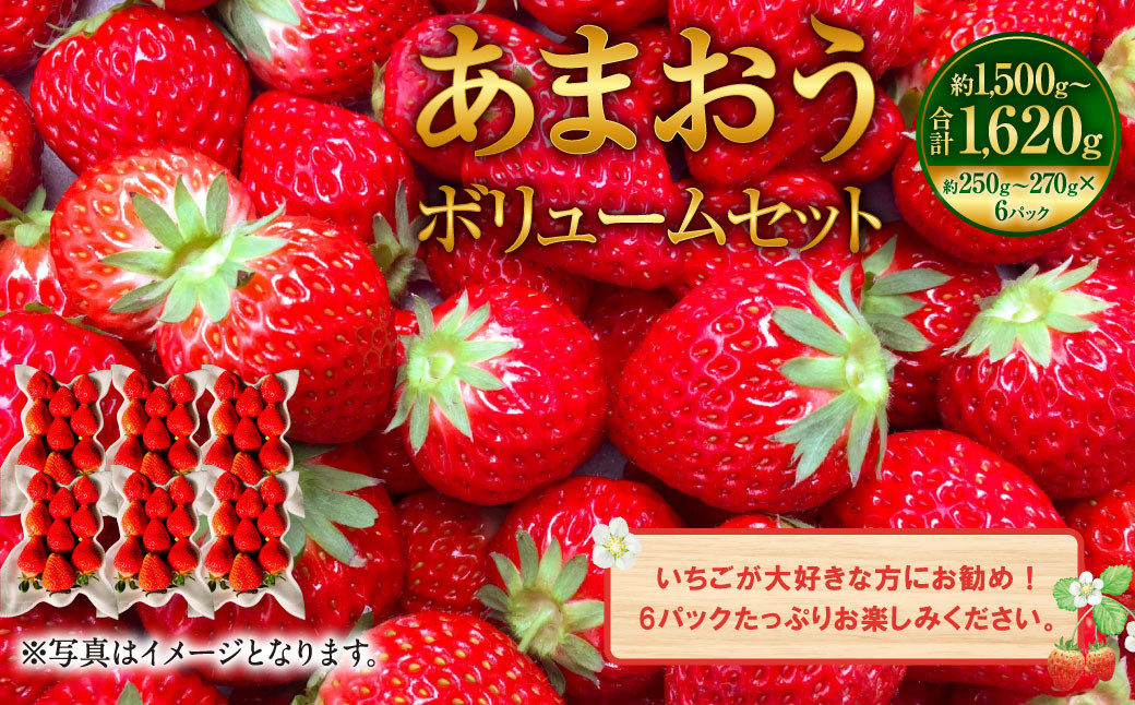 
あまおうボリュームセット 約250～270g×6パック【2025年2月上旬～4月上旬発送予定】
