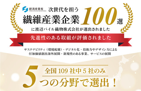 （今治タオルブランド認定）しっかりサマルカンド バスタオル2枚セット  ブルー/ブルー 今治タオル [ID05380BLBL]